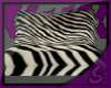 [S] Zebra Pillows/Table