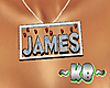 ~KB~ Necklace (James)