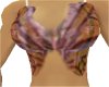 Butterfly top gold