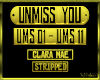 Unmiss you