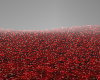 red-black open field