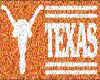 M Texas Longhorns Banner