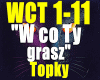 W co Ty grasz-Topky.
