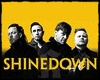 Shinedown + Guitar