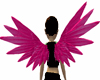 Pink Cherub Wings