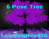 6 Pose White Tree Swing