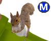 Squirrel mug M