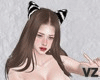 Cutie Fox Avatars