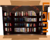 NM:Arancione BookCase