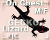 R|C Gecko Black M/F