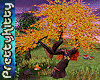 [PK] Huggable Tree