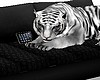 -LMM- Tiger Couche