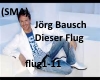 Jörg Bausch-Dieser Flug