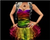rainbow zebra dress