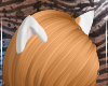 Shiba Ears V1