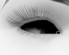 Korla Eyes >,>