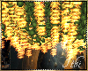-Ith- Ballroom WisteriaG