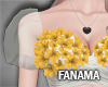 Yellow flower |FM671