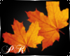 Pk-Fall Leaves