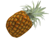 pineapple F