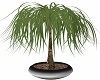 Steel Potted Willow 2
