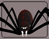 Big Spider Pet Animated