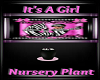 It's A Girl Nursey Plant