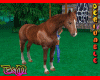 HORSE ANIMATED DERV