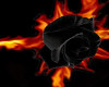 djlight fire rose