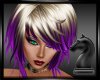 2 Toned Purple Lexia