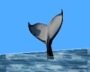 C2u 2-D Whale Fluke
