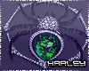 ! Sparkle Spider G