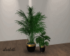 Plant Vase Set Black