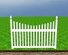 White Picket Fence 1