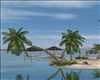 Sunny  Wild Island DC 1