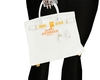 WHITE &GOLD TRIM BIRKIN