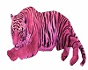 Pink Tiger 1