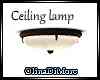 (OD) Ceiling lamp