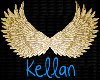 Kellan's Collar 