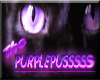 PurplePuss Club sign