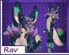 Rav Tail v3