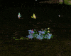 Fairies Fly In Fairyland