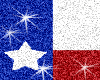M Texas Flag
