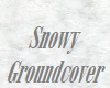 Snowy Groundcover