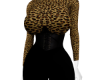 ˢⁿ . Suit Tiger