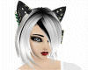 Gray Wolf/Kitty Ears