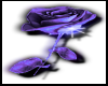 Perfect Rose(purple)