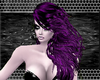 purple lawann hairs
