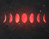 ▲Phased