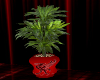 LFC Liverbird Plant Pot